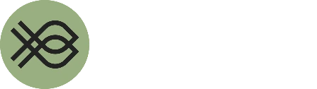 bonitoo.io