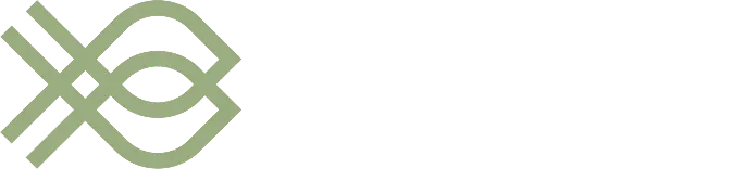 bonitoo.io